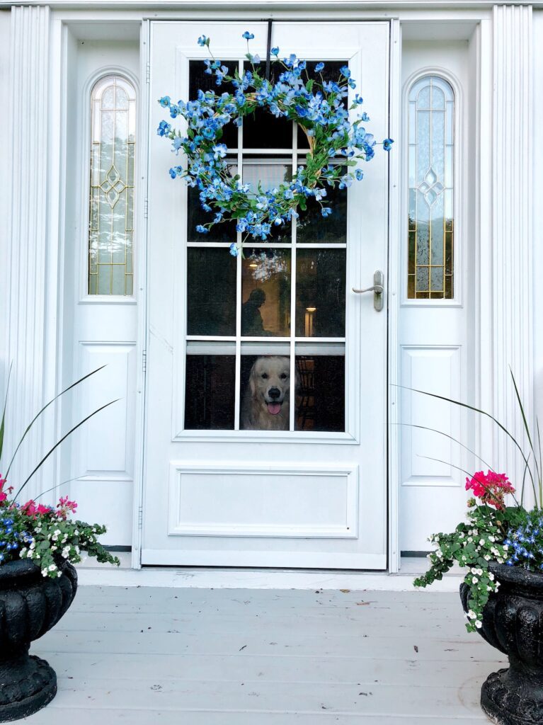 A happy Golden Retriever waits at the front door of a beautiful suburban home.